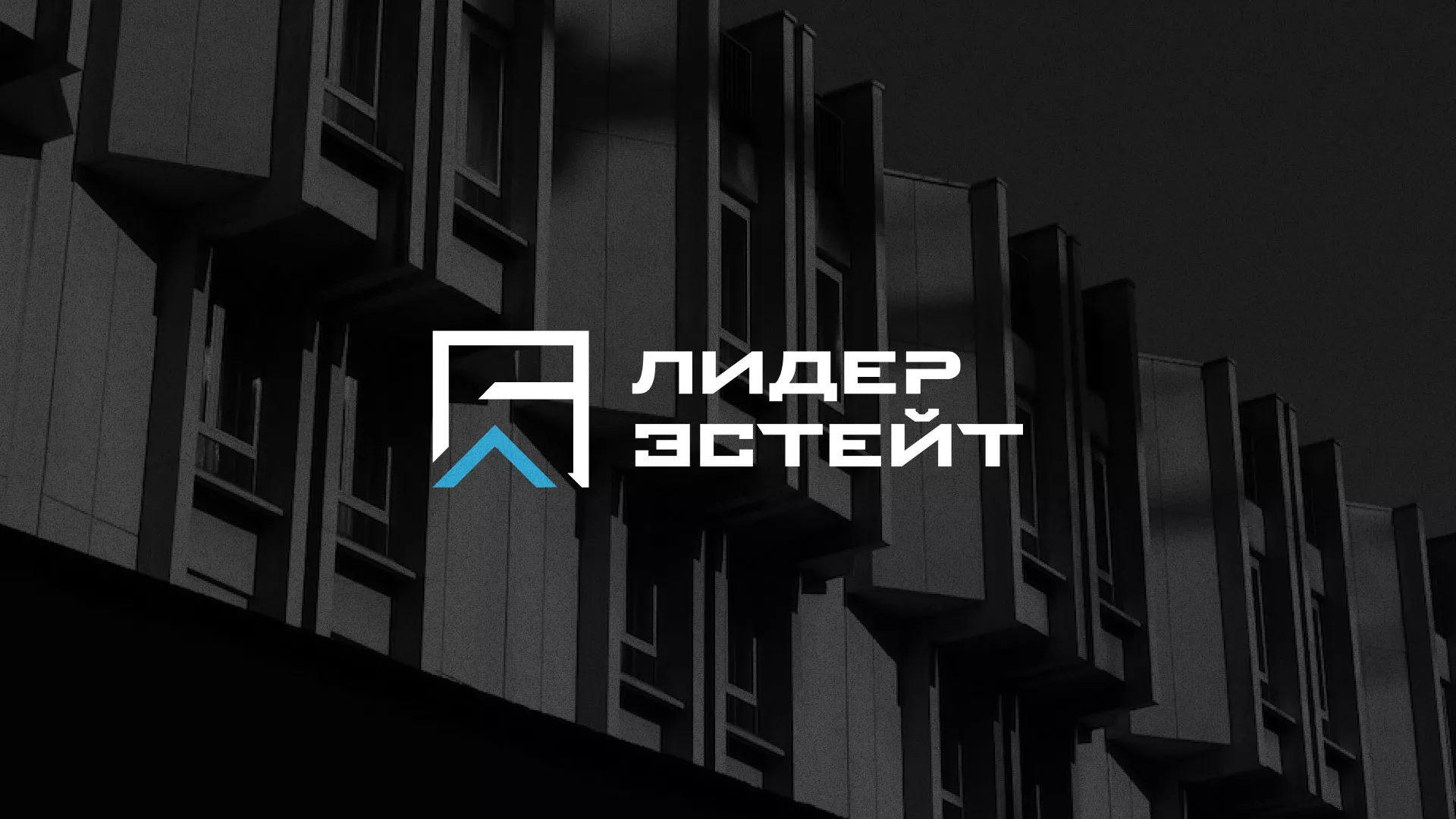 Разработка логотипа агентства недвижимости «Лидер Эстейт» в Новочебоксарске